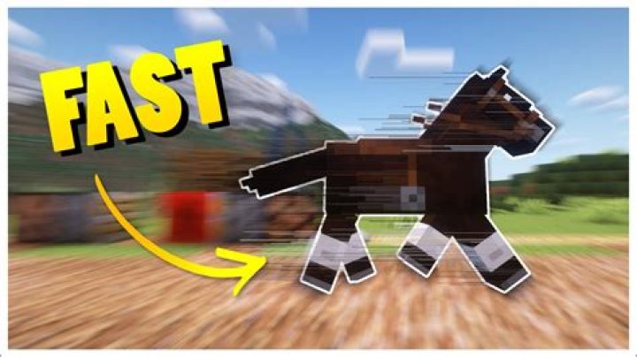 How do you get a horse in Mineral Town?