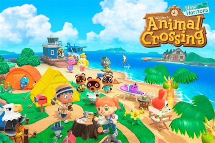 How do you get CDs on Animal Crossing?