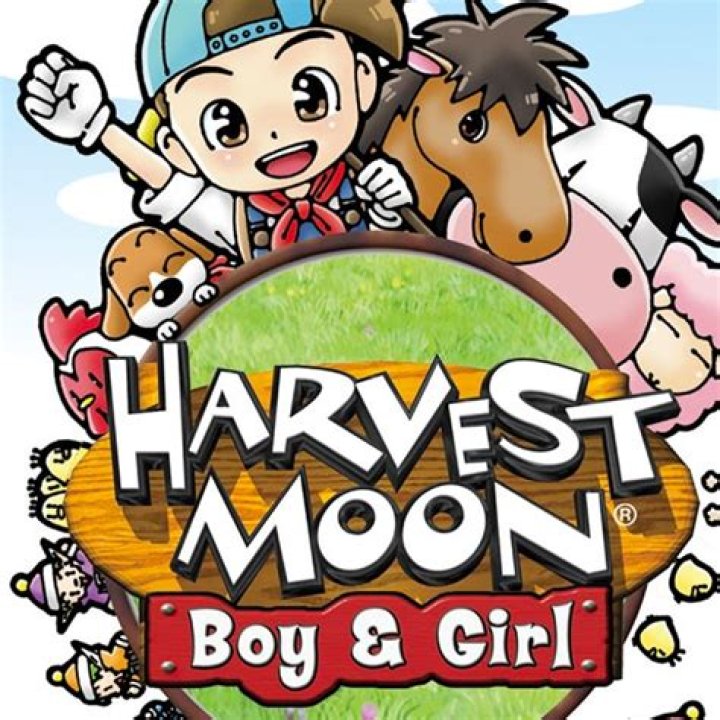 How do you marry cliff in Harvest Moon Boy and Girl?