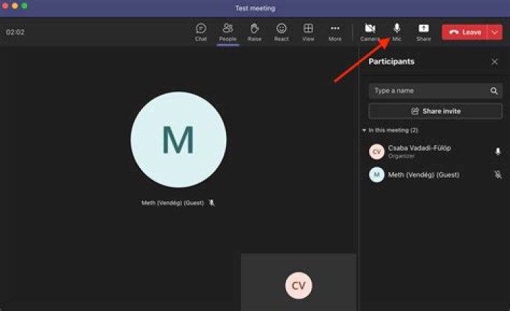 How do you mute everyone in cod?