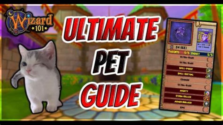 How do you type what you want in wizard101?