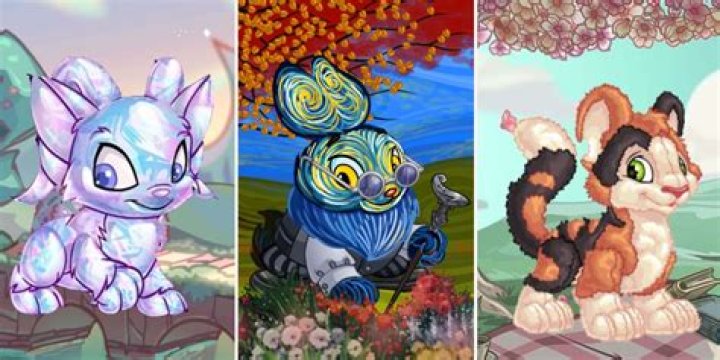 How does the Wishing Well work on Neopets?