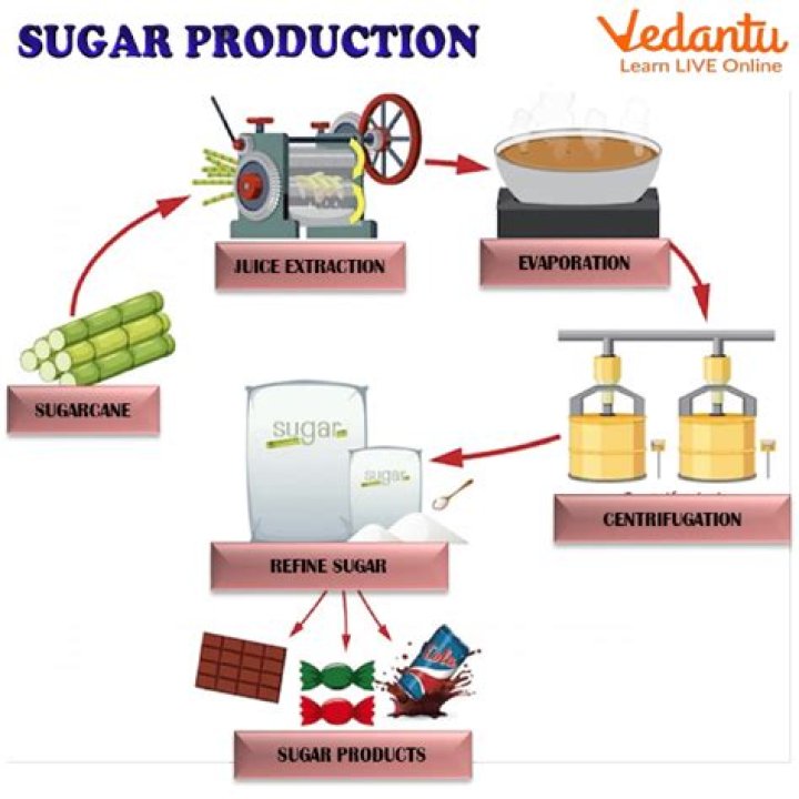 How is modern sugar made?