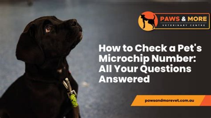 Is animal ID the same as microchip number?