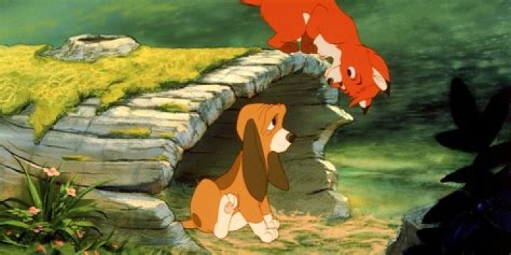 Is The Fox and the Hound about race?