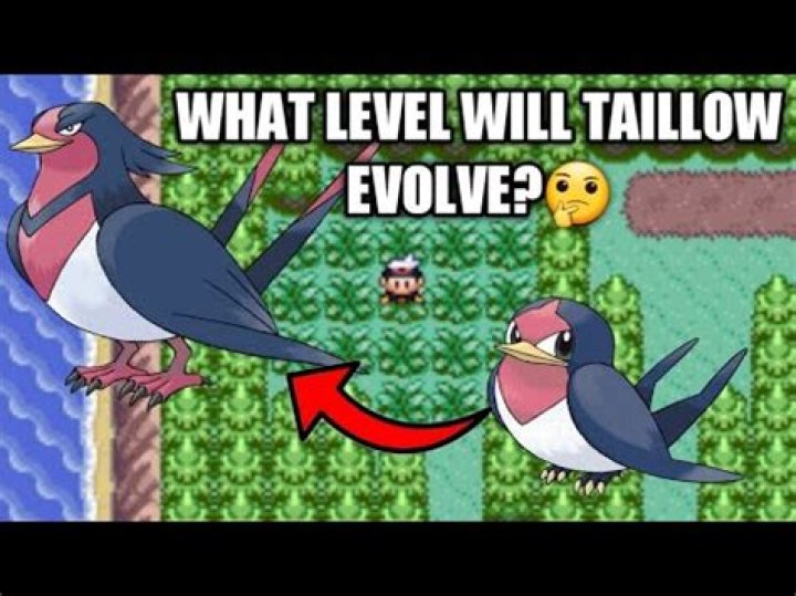 On which level Taillow evolve in Pokemon Emerald?