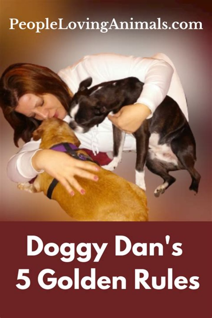 What are doggy dans 5 golden rules?
