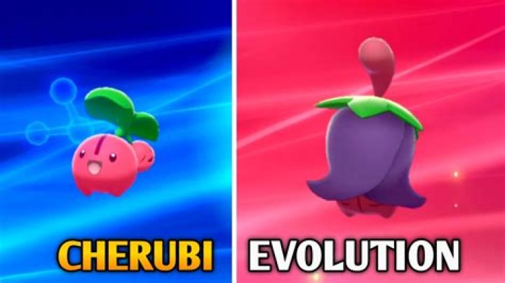 What do Cherubi evolve into?