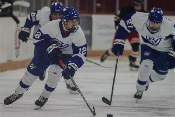 What is D1 club hockey?