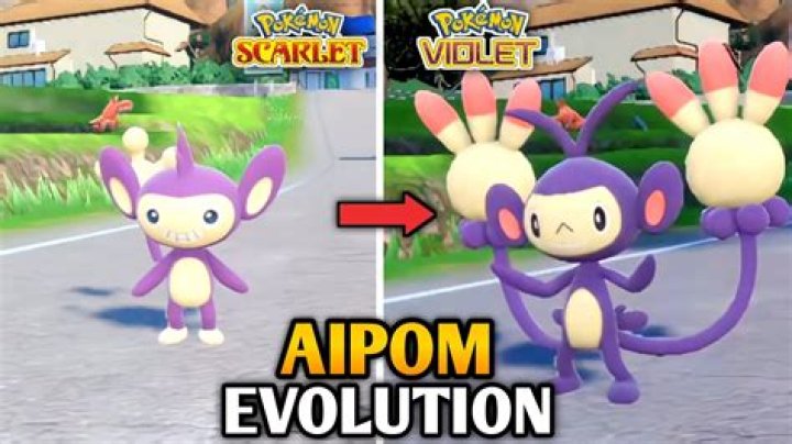 What is the evolved version of Aipom?