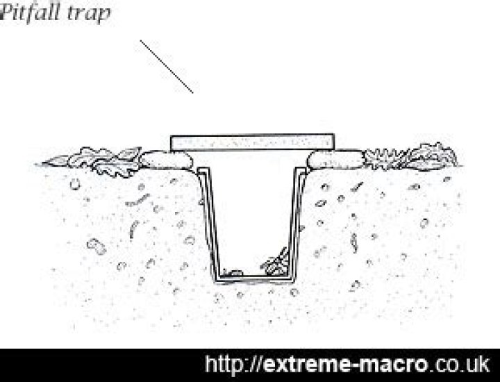 What is the use of pitfall trap?