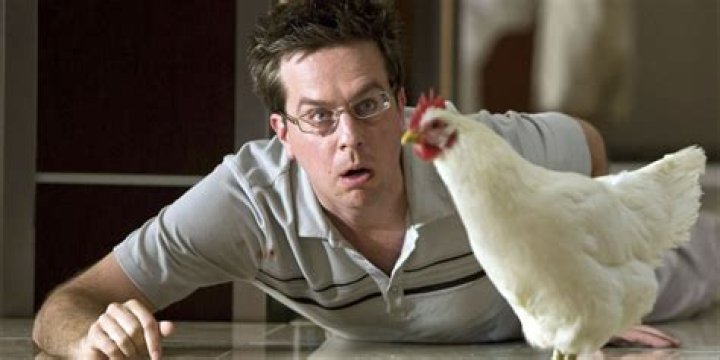 What was the chicken in the Hangover?