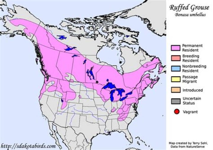 Where do Ruffed Grouse live in PA?