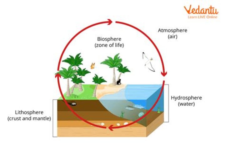 Which is false about biosphere it is the global sum of all ecosystems it can also be called the zone of life on Earth it does not contain microbes?
